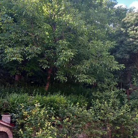 Apartamento Turkana 1 Saraievo