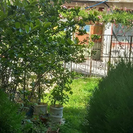 Turkana 1 アパート *