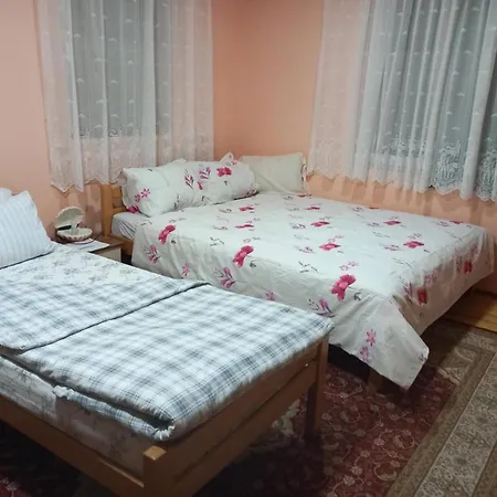 Turkana 1 * Saraievo